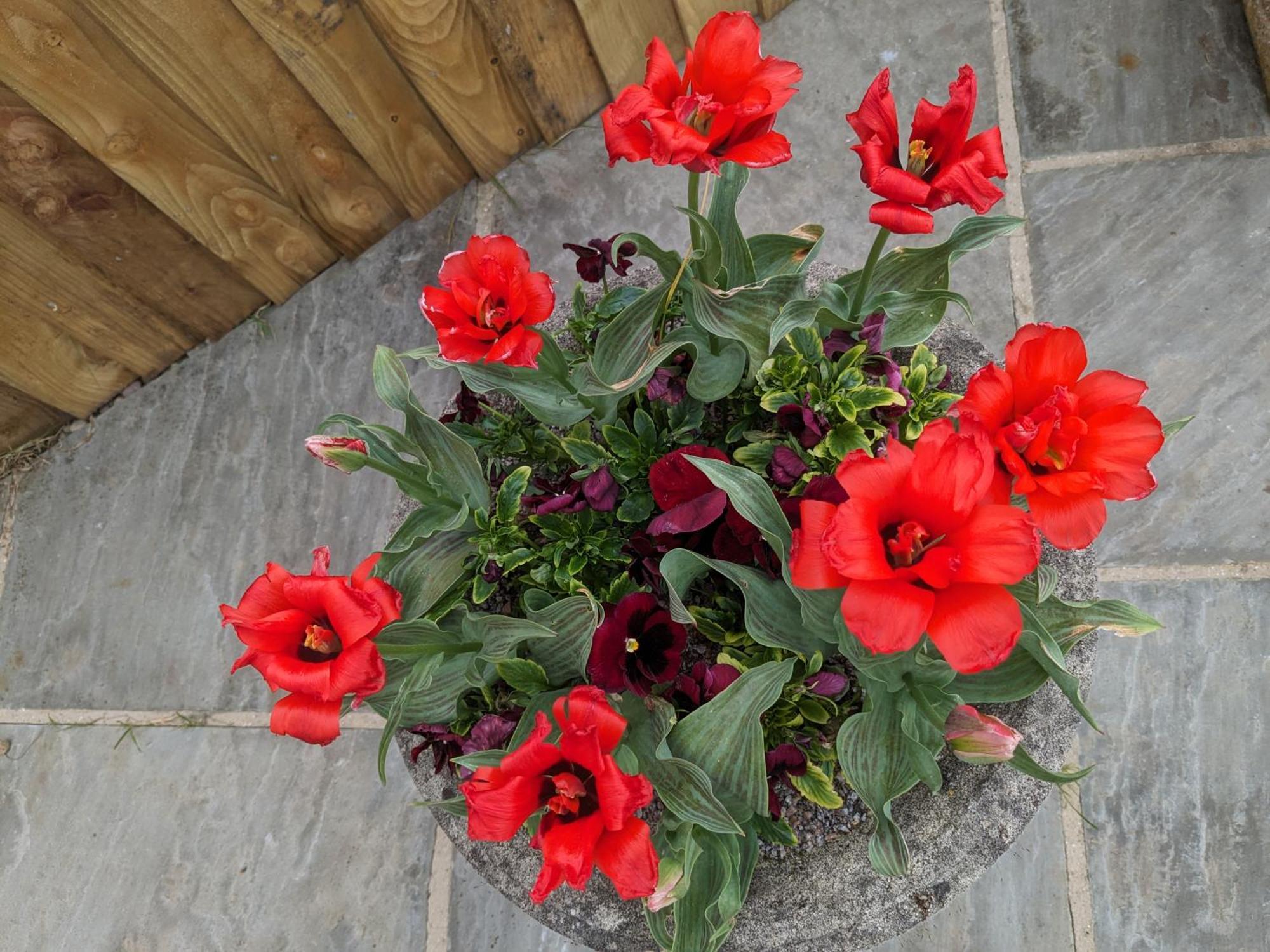 Rosegarth Bed And Breakfast Marton near Pickering Kültér fotó